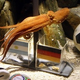 Illustration for article titled Sea Creatures, Soccer Powers Battle For Supremacy